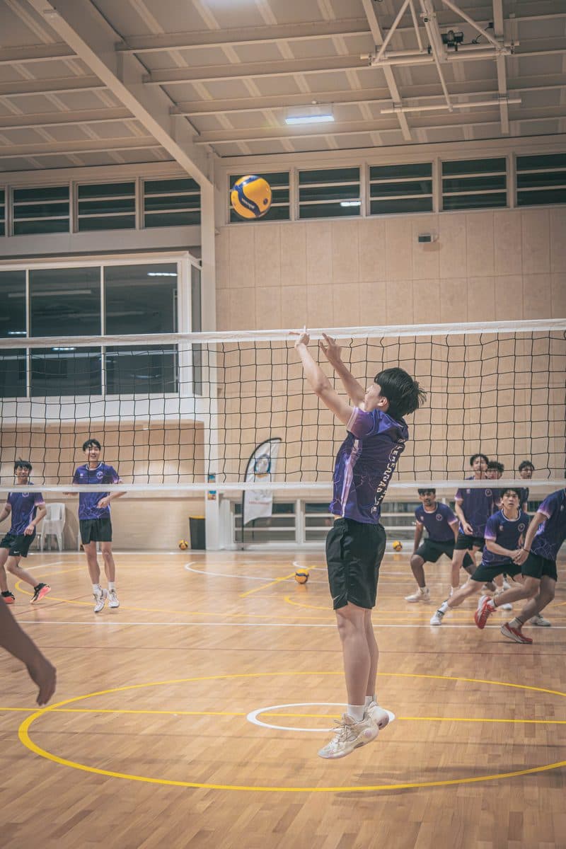 Player setting a volleyball at the net with the squad watching inside the West Ryde hall